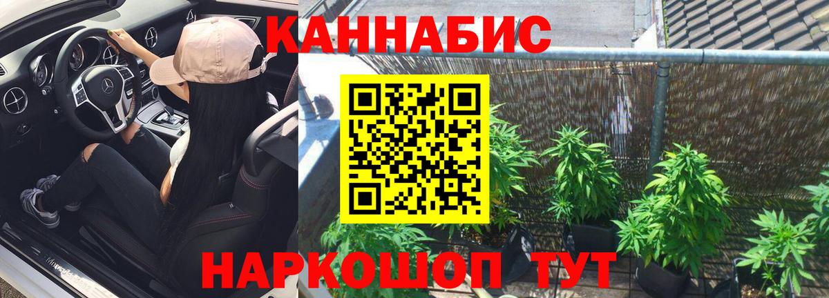 Конопля THC 21%  Вход с VPN  Мурино  Канабис MAZAR  Шишки марихуана Amnesia 